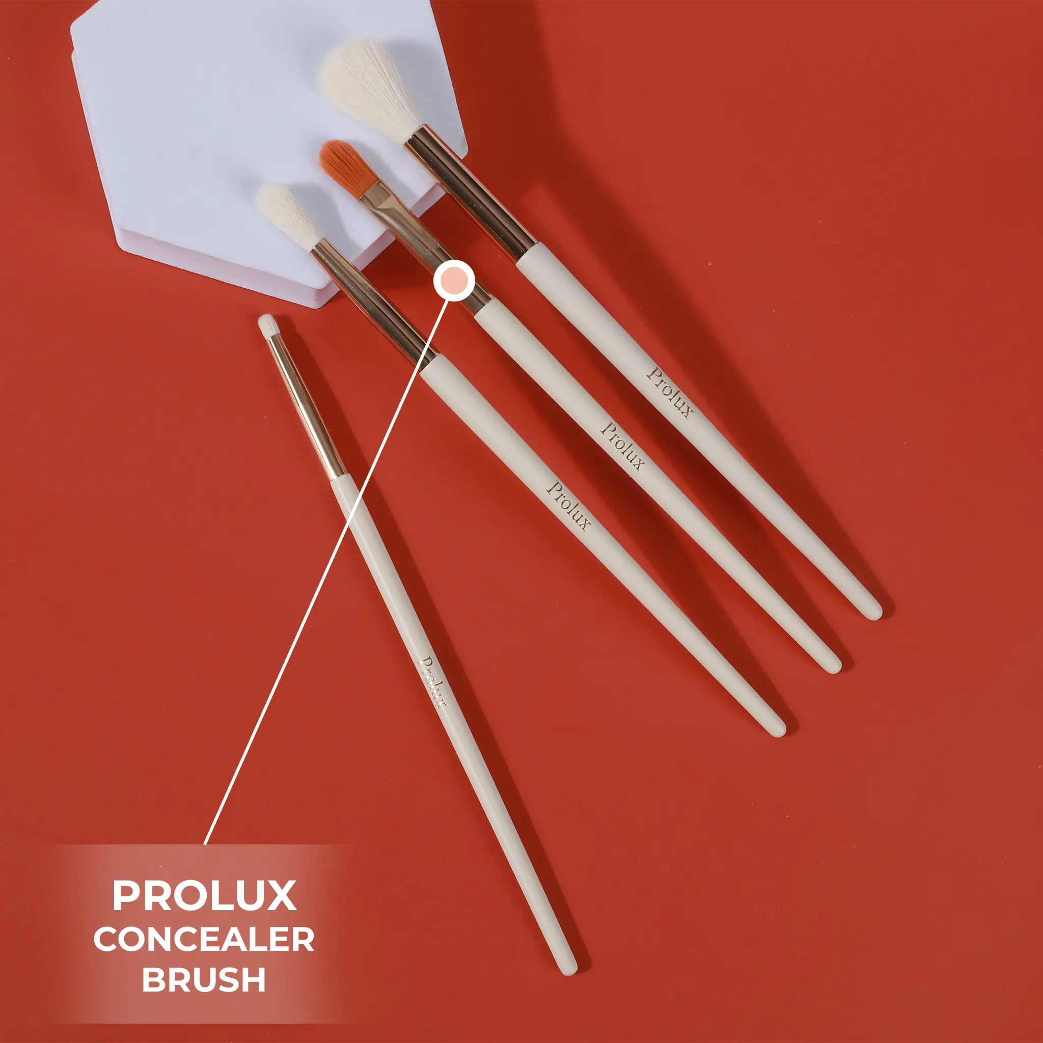 Prolux Makeup Concealer Brush - Image 4