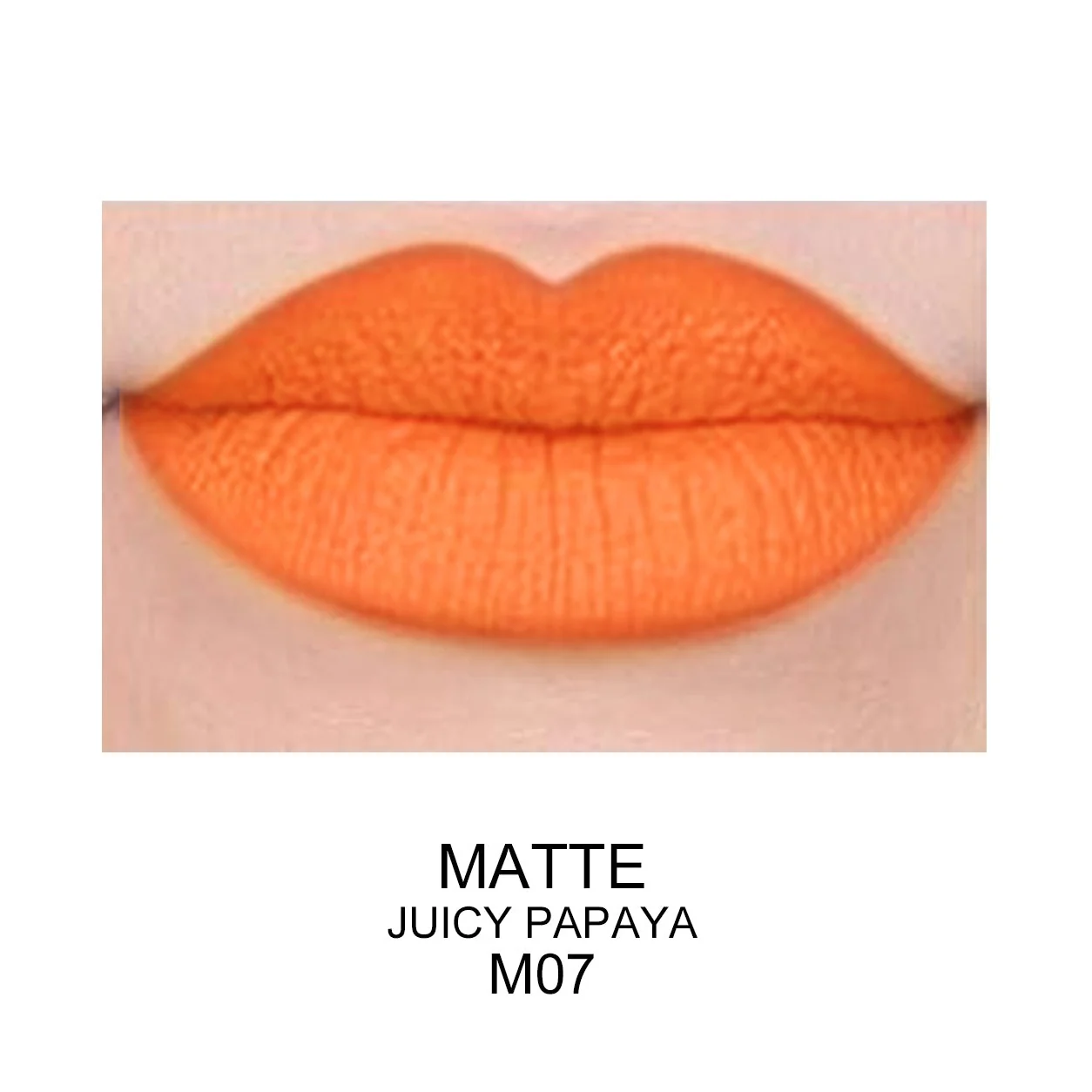 Best Matte Long Lasting Lip Gloss - Prolux - Image 5